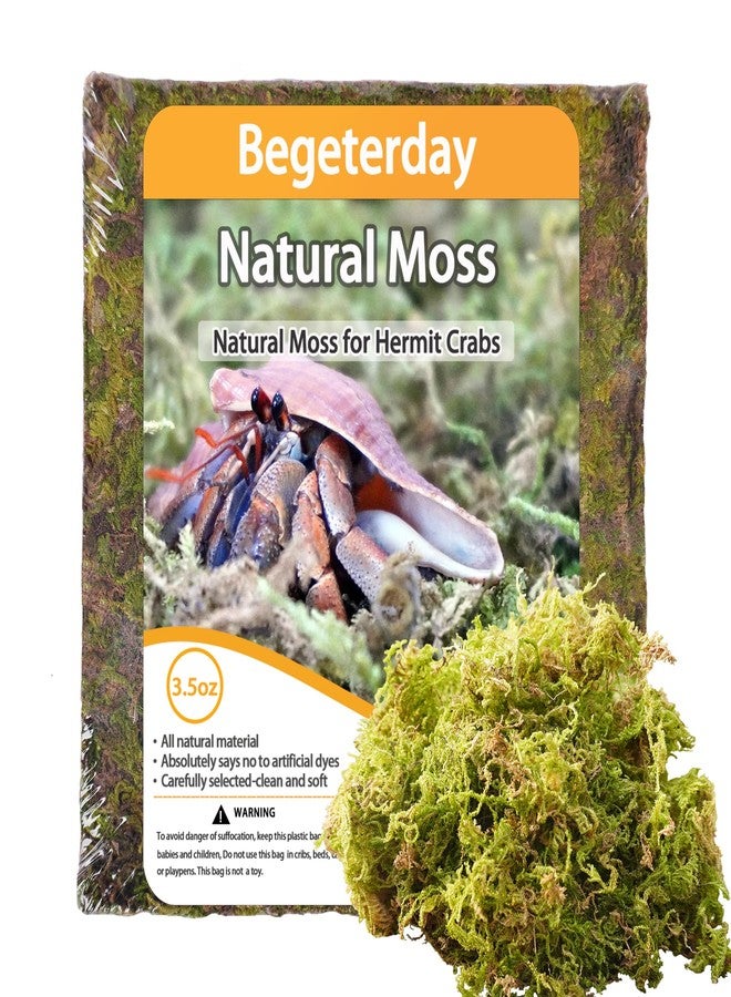 Begeterday 3.5oz Natural Moss for Hermit Crabs, Ideal for Hermit Crab Supplies for Tank Habitat - Image 1